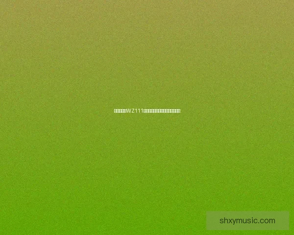 中国解放军WZ111战斗机的发展历程与未来潜力分析